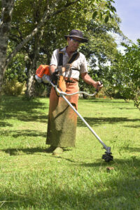 Agrícola, Forestal y Jardinería